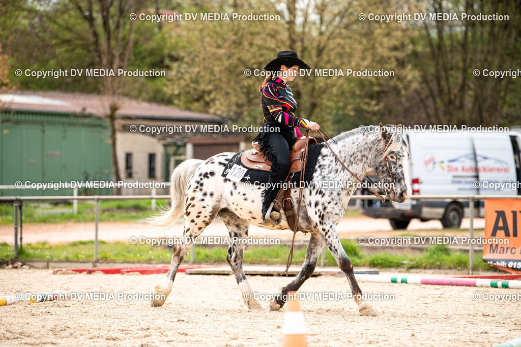 Heiligenwald Tag 1-376 | dv-media-shop - Realisiert mit Pictrs.com