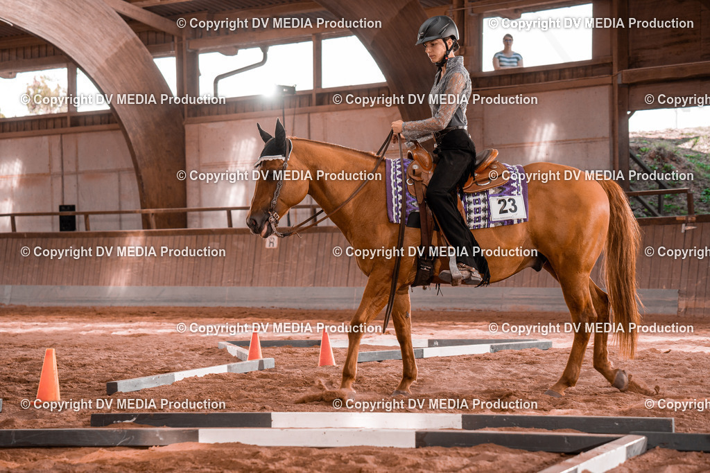 NE200261 | dv-media-shop - Realisiert mit Pictrs.com