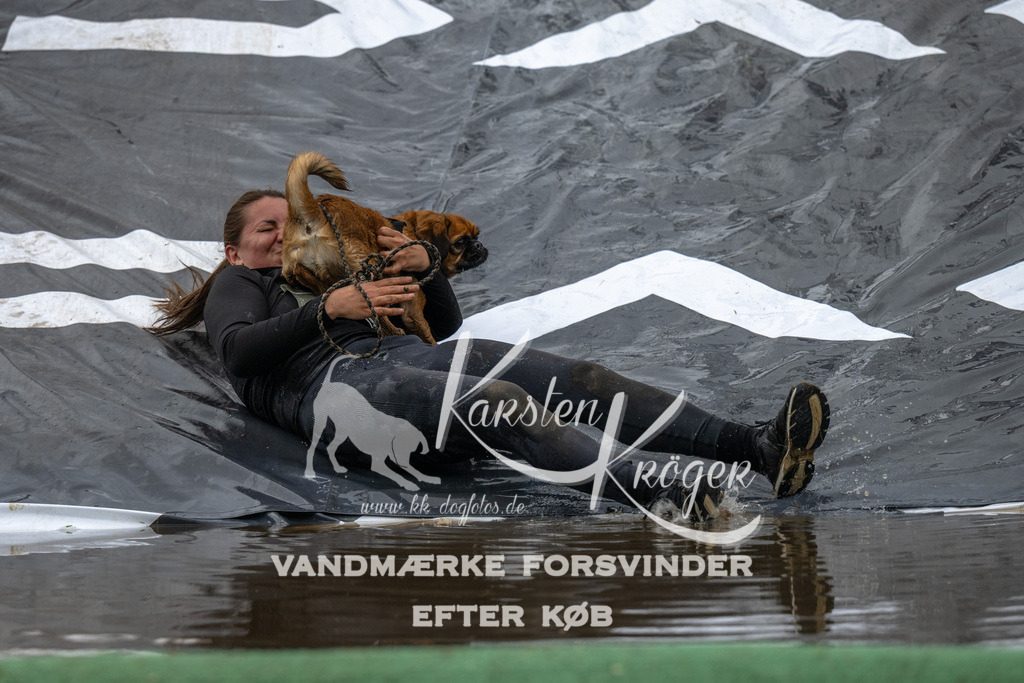 1607_ZZ92353 | kk-dogfotos