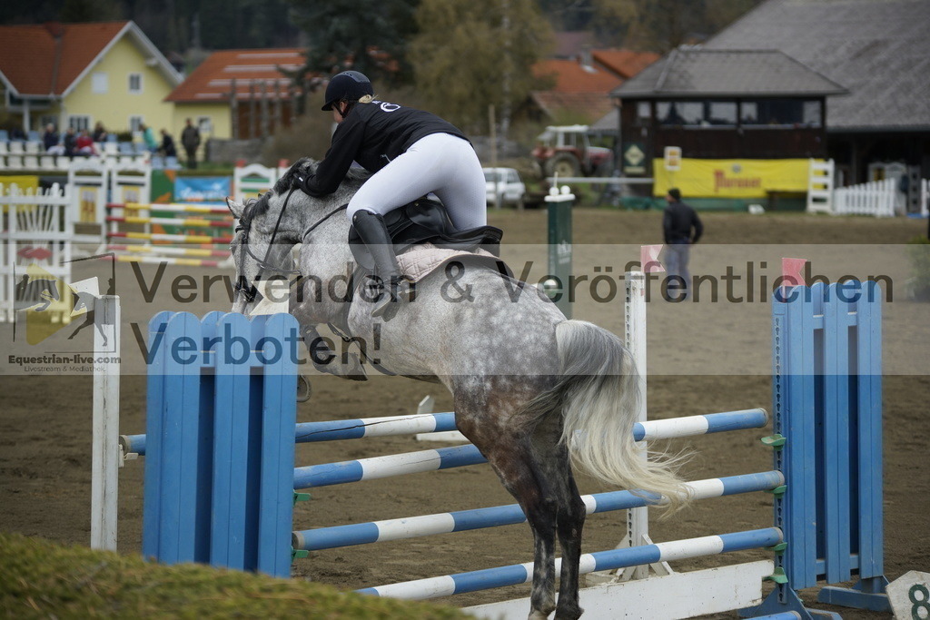 _DSC7191 | equestrian-live-com