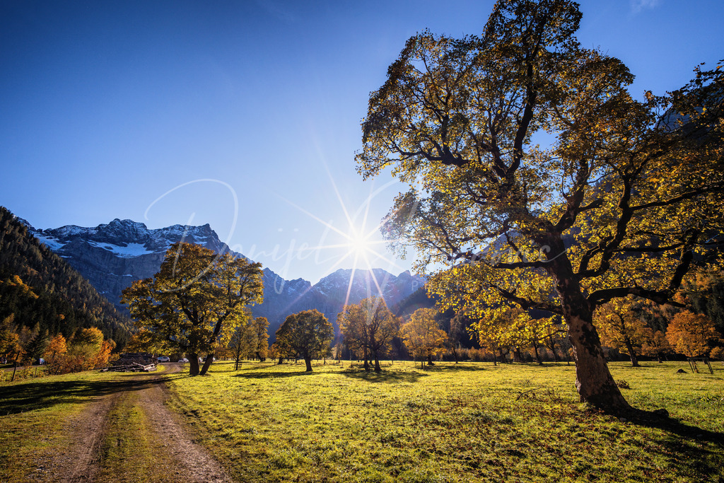 Großer Ahornboden | Herbst am Großen Ahornboden