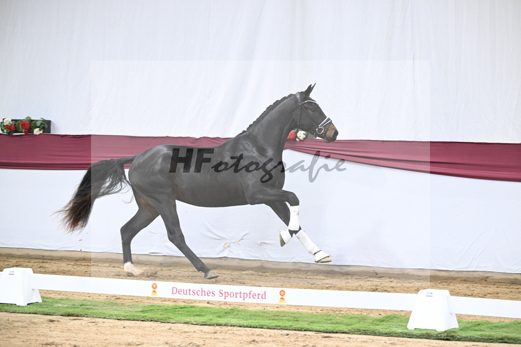 Kat-Nr. 31 In My Mind x Fidertanz_Uwe Kraft_47251066 | hf-fotografie - Realisiert mit Pictrs.com