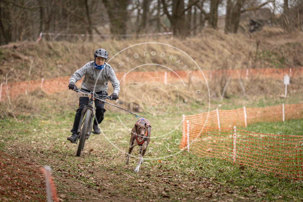 Pfotenfotografie_DV3A6899 | Hundefotografie, Tierfotograf, Pfotenfotografie, Fotoshooting Hund, Hunde Portrait, Hundesport, Hundeportraits, Heideshooting, Hunde, Sportfotograf, Hundefotograf, Turnierhundsport, THS,  - Realisiert mit Pictrs.com