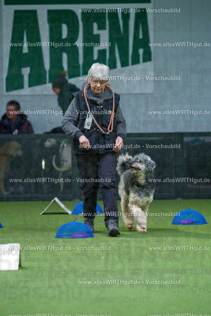 7R501250 | Professionelle Tierfotografie in Mönchengladbach von Daniel Wirth (allesWIRTHgut). Liebevolle & natürliche Bilder von Hunden & Katzen für unvergessliche Erinnerungen.