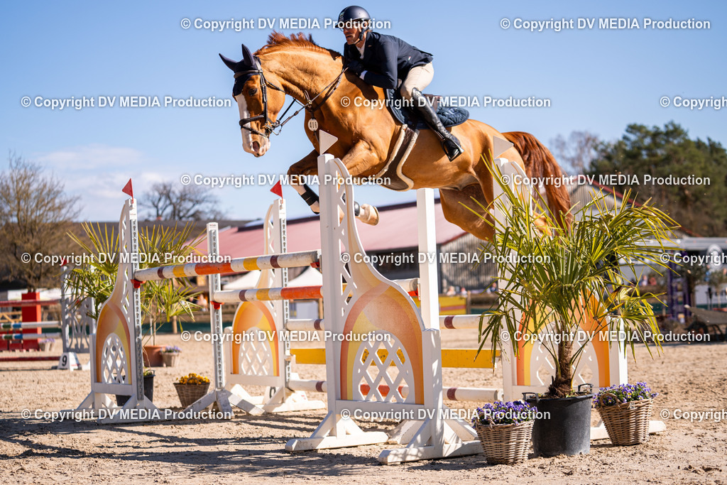 Kranichstein Tag 2-723 | dv-media-shop - Realisiert mit Pictrs.com