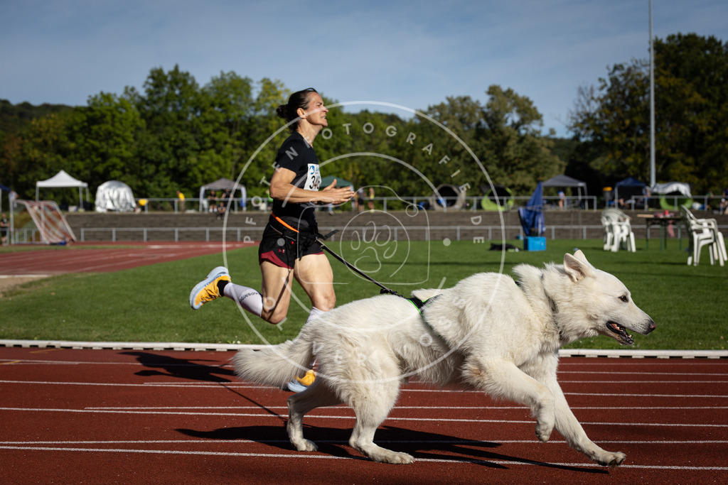 Pfotenfotografie_DV3A8975 | Hundefotografie, Tierfotograf, Pfotenfotografie, Fotoshooting Hund, Hunde Portrait, Hundesport, Hundeportraits, Heideshooting, Hunde, Sportfotograf, Hundefotograf, Turnierhundsport, THS,  - Realisiert mit Pictrs.com
