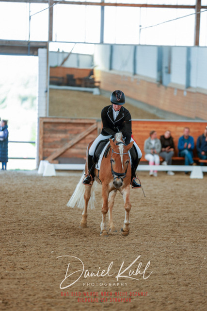 _62_7969 | Turniersportfotografie; Pferdefotografie; Dressurfotografie