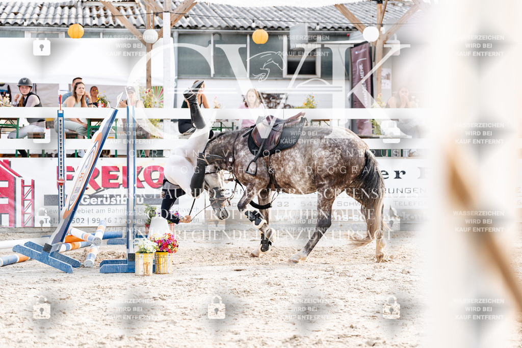 CK907049 | Turnierfotografie Pferdefotografie Trier Rheinland-Pfalz Pferdesport Reitsport Tierfotografie Sportfotografie Pferdevideo Pferdevideografie Equestrianvideography equestrianphotography  - Realisiert mit Pictrs.com