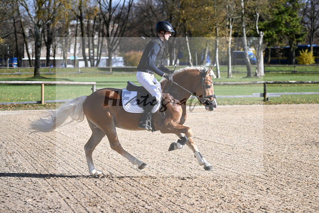 Kat-Nr. 10 Winnetou on fire v. Walzerblick_Keller_43250555 | hf-fotografie - Realized with Pictrs.com