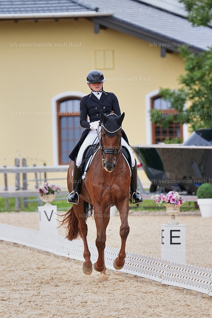 11-141-Dressur S___-Marixx-1812 | working equitationturnier fotograf videograf stoibphotography marixx film working equitation deutschland reitsport turnierfotografie eventfotografie equestrian events