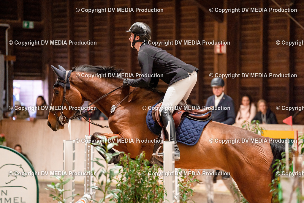 Springen Tag 1-311 | dv-media-shop - Realisiert mit Pictrs.com