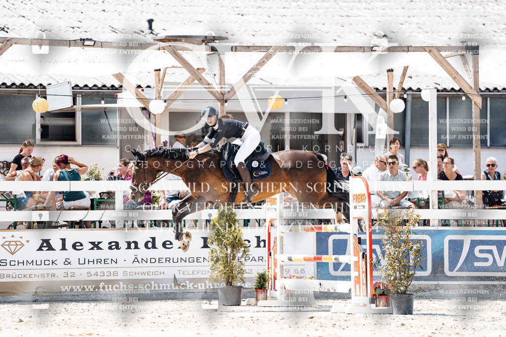 CK909838 | Turnierfotografie Pferdefotografie Trier Rheinland-Pfalz Pferdesport Reitsport Tierfotografie Sportfotografie Pferdevideo Pferdevideografie Equestrianvideography equestrianphotography  - Realisiert mit Pictrs.com