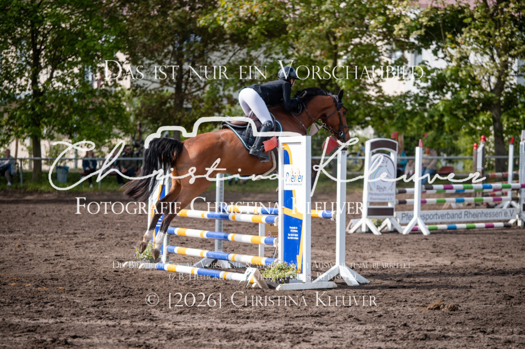 DSC_0338 | Christina-Kleuver