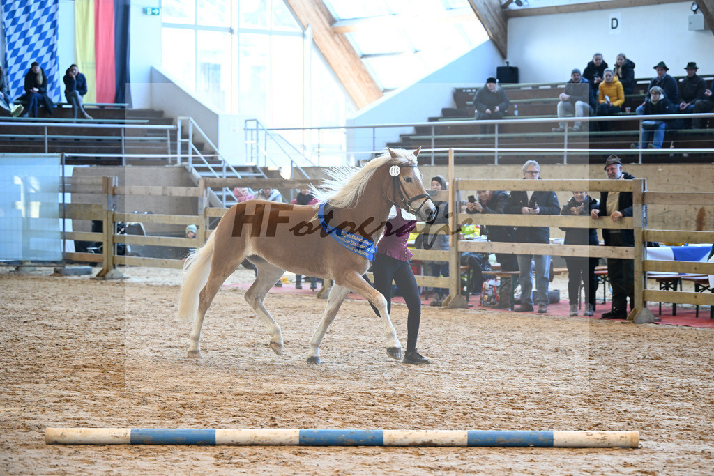 Bl. Band Kat-Nr. 16 Noela v. Barios_Mayer_48241336 | hf-fotografie - Realisiert mit Pictrs.com
