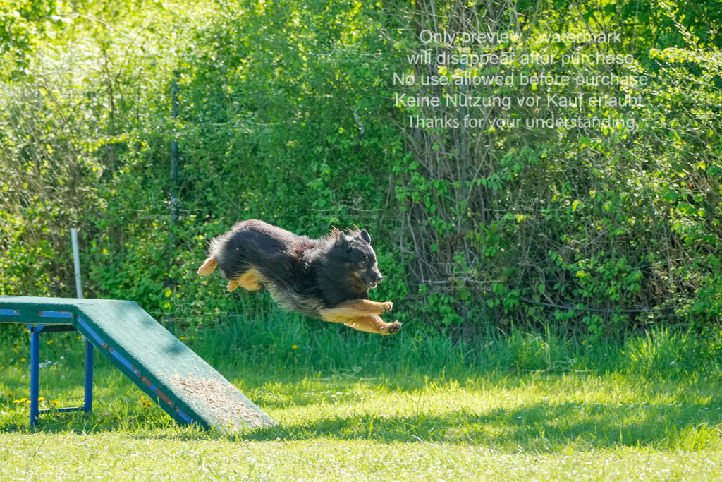 Sa_VK3_03-26 | stephaniefillaphotographie - Realisiert mit Pictrs.com