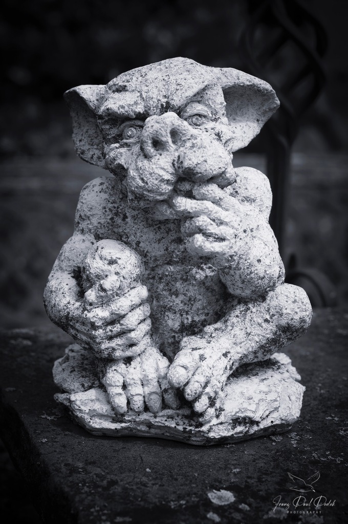 2024-08-07_14_02_30_L1007728-Bearbeitet | Franz Podek