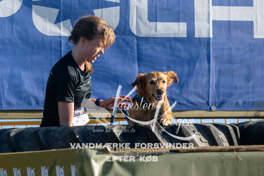 0842_ZZ94652 | kk-dogfotos