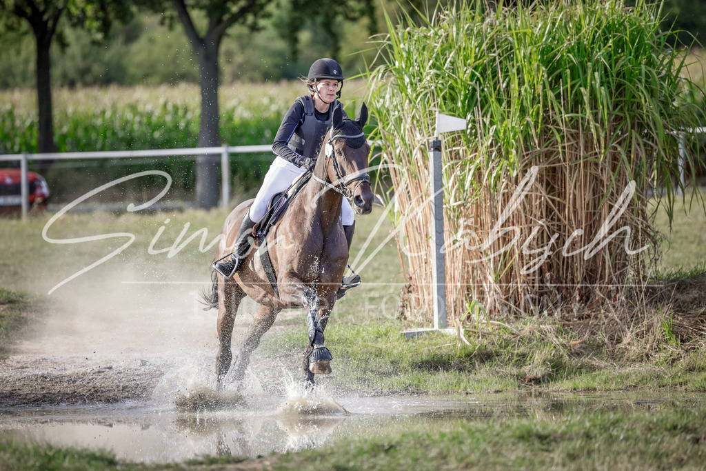 20250906-_3LI7583 | Tierfotografie Pferde, Hunde, Katzen, Haustiere.
Turnierfotografie Reitturniere, Reiten, Springreiten, Dressur in Hanau, dem Main-Kinzig-Kreis und dem Rhein-Main- Gebiet um Frankfurt