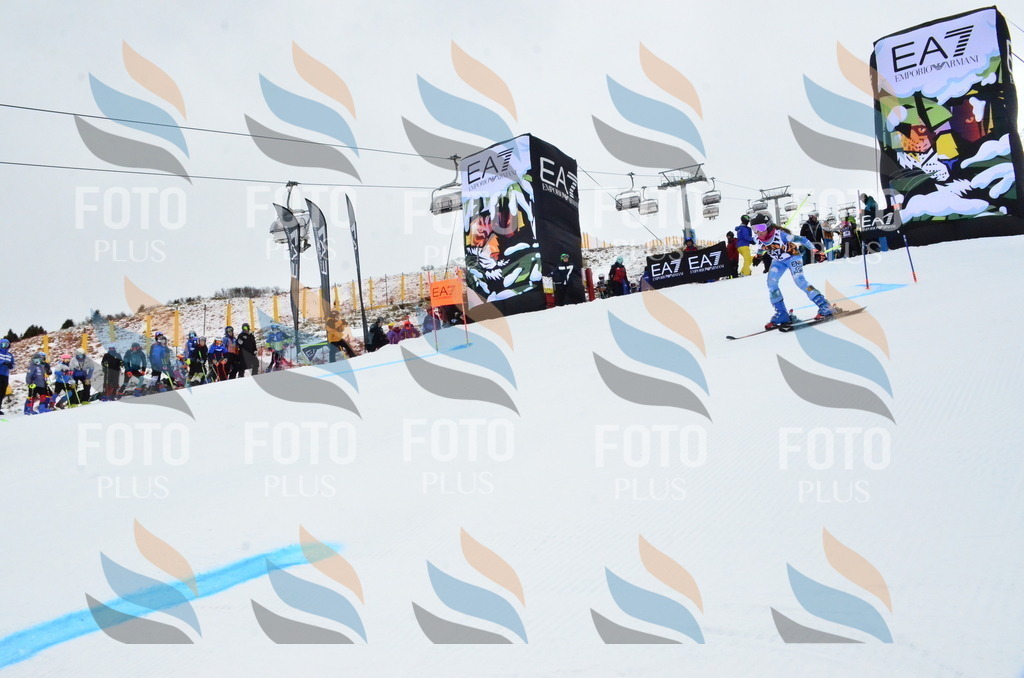 _ELE3197 | holidayphoto