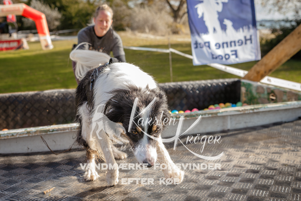 1426_ZZ94513-2 | kk-dogfotos