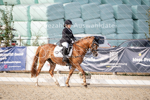 LR263_SD_01169 | saradresslerfotografie - Realisiert mit Pictrs.com