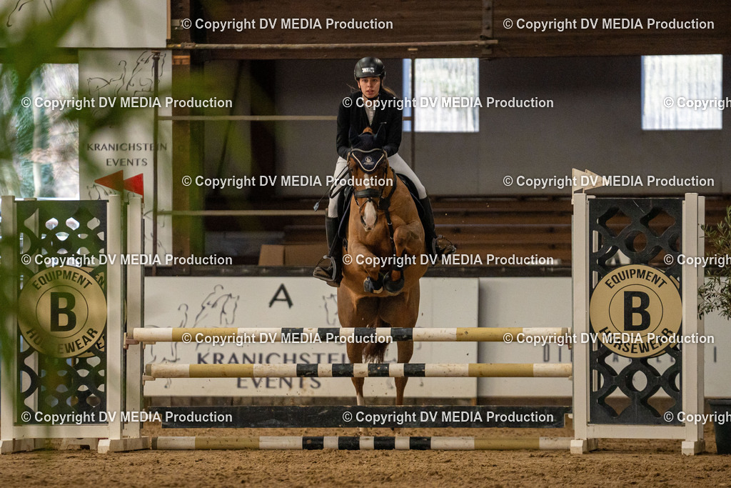 Kranichstein Tag 1-170 | dv-media-shop - Realisiert mit Pictrs.com