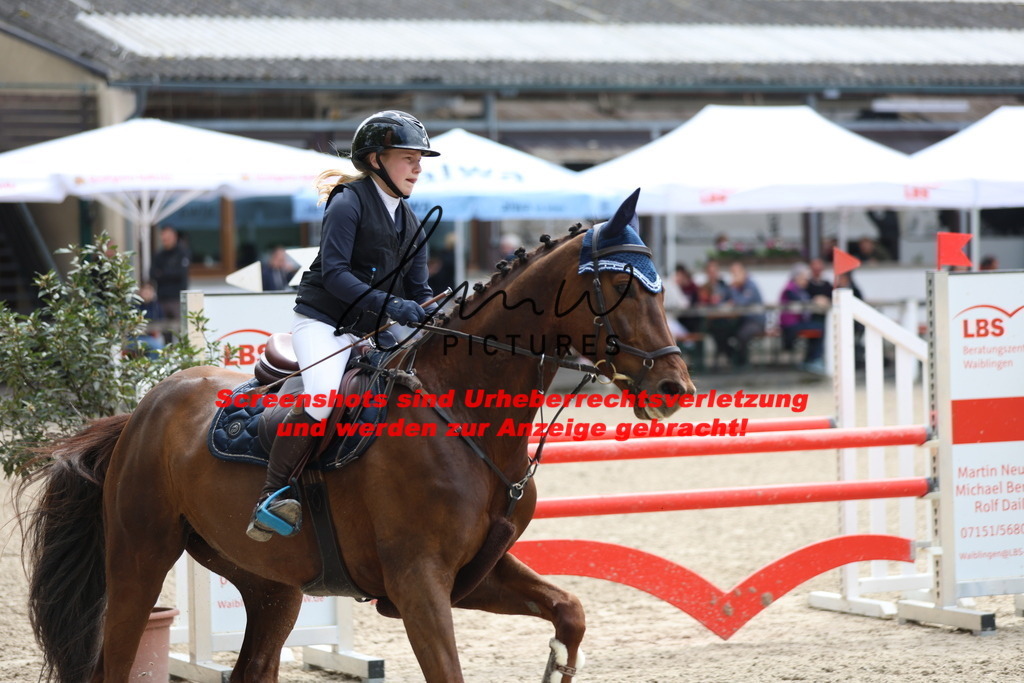 A40A2319 | lmwpictures - Realisiert mit Pictrs.com