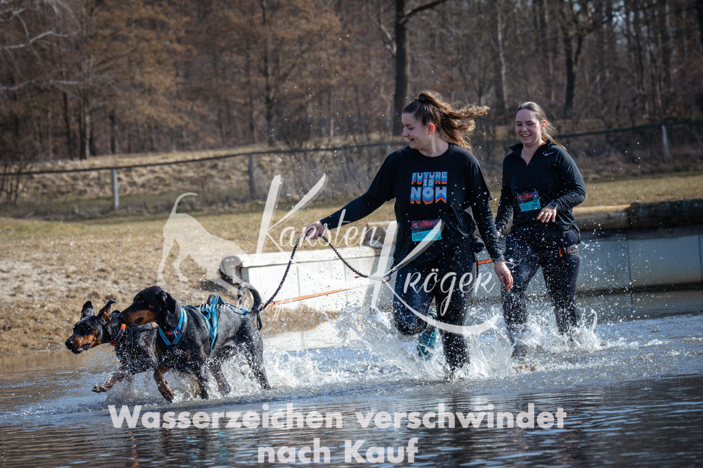 1152_ZZ96976 | kk-dogfotos