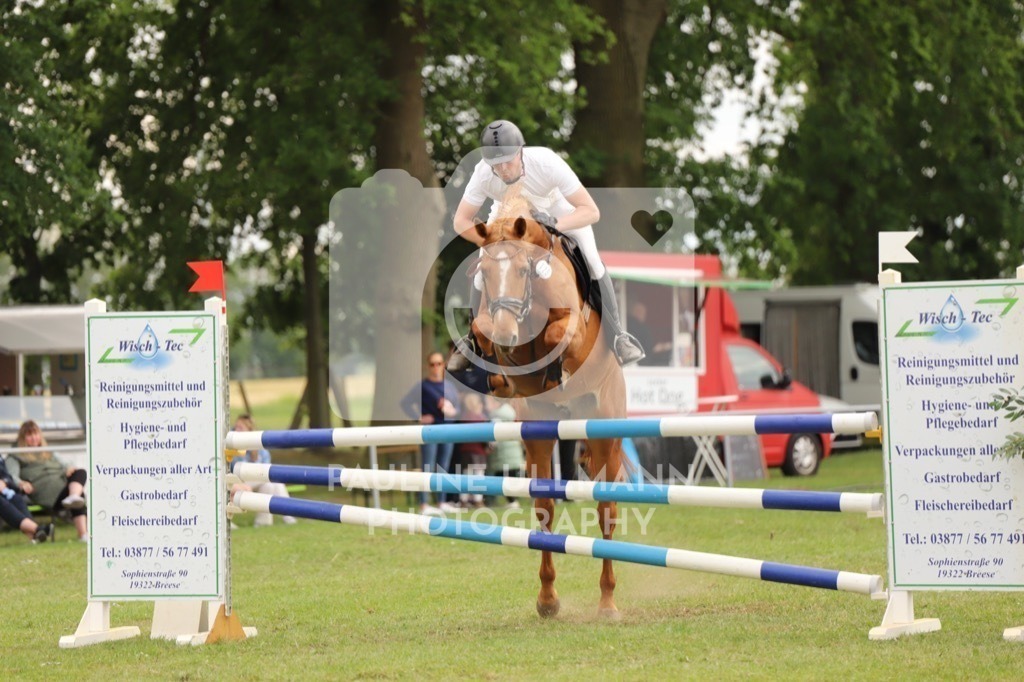 IMG_7843 | Pauline Ullmann Photography - Realisiert mit Pictrs.com