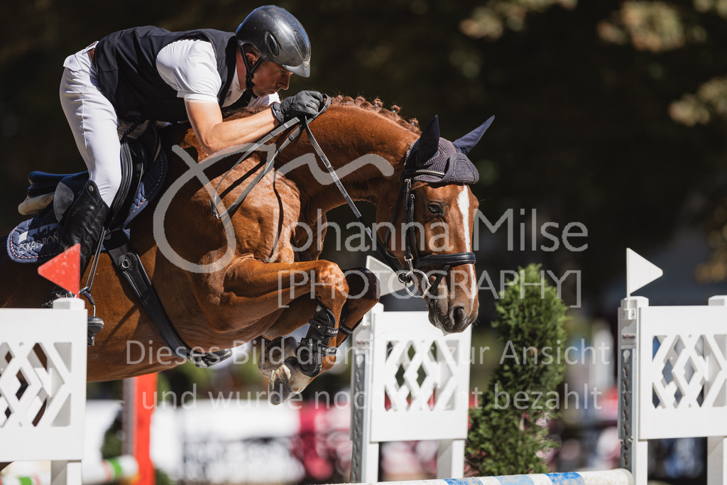 230907_OWLCh_SpringpferdeM-150 | Deine schönsten Turniermomente als professionelle Fotos! Entdecke hochwertige Pferdesport-Fotografie im Online-Shop. Jetzt Fotos finden & bestellen!