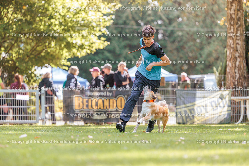THS-HSV-Blumenthal-2026-Nickbest-Hundefotografie-3894 | Dein Hund! Dein Moment! Deine Erinnerungen! Hundefotografie in Bremen Blumenthal. Ich fange die besonderen Momente deines Vierbeiners ein – ob Indoor mit Blitzanlage oder in der freien Natur. Sicher dir dein Moment und dein Termin für eure Erinnerungen.