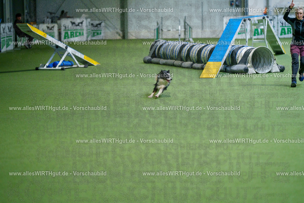 @allesWIRTHgut_Tierfotografie - www.allesWIRTHgut.de - 2604250817-7R506063 | Professionelle Tierfotografie in Mönchengladbach von Daniel Wirth (allesWIRTHgut). Liebevolle & natürliche Bilder von Hunden & Katzen für unvergessliche Erinnerungen.