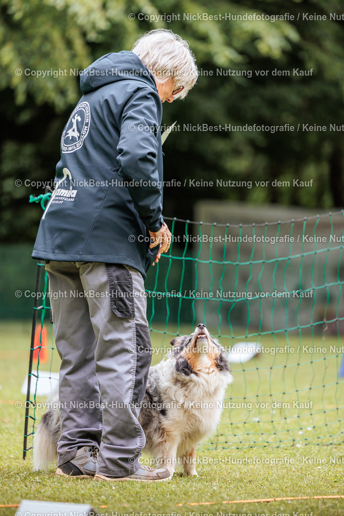 RO-Blumenthal-2026-Nickbest-Hundefotografie-2890 | Dein Hund! Dein Moment! Deine Erinnerungen! Hundefotografie in Bremen Blumenthal. Ich fange die besonderen Momente deines Vierbeiners ein – ob Indoor mit Blitzanlage oder in der freien Natur. Sicher dir dein Moment und dein Termin für eure Erinnerungen.