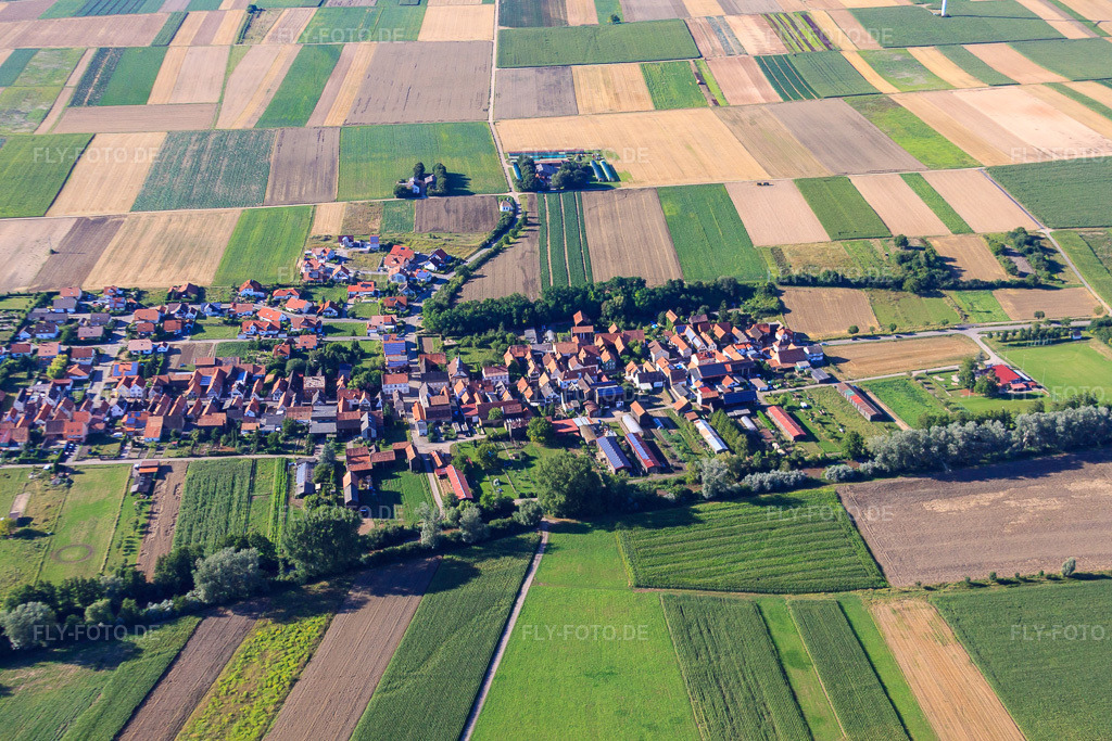 Luftbild: Dorfansicht von Süden in Herxheimweyher im Bundesland Rheinland-Pfalz in Deutschland. Foto: IMG_30777.jpg vom 31.07.2010 durch Werner Riehm/FLY-FOTO.de
