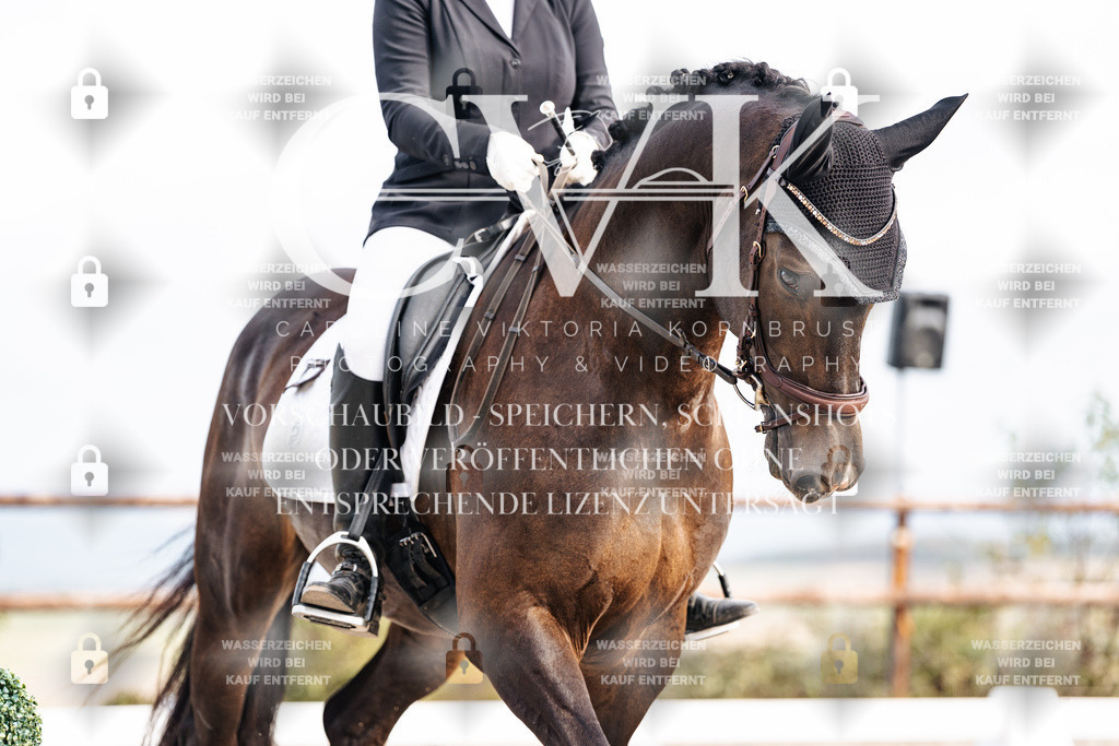 CK901290 | Turnierfotografie Pferdefotografie Trier Rheinland-Pfalz Pferdesport Reitsport Tierfotografie Sportfotografie Pferdevideo Pferdevideografie Equestrianvideography equestrianphotography  - Realisiert mit Pictrs.com