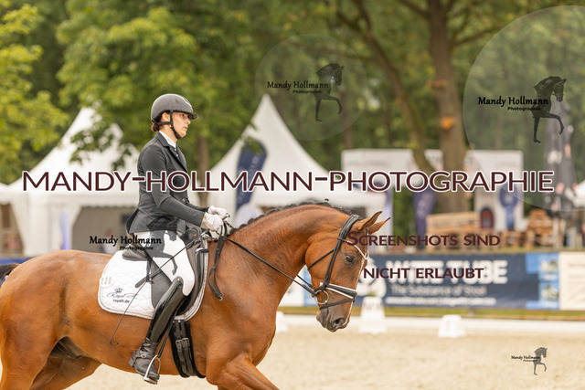 SW 4-1088 | mandyhollmannphotographie