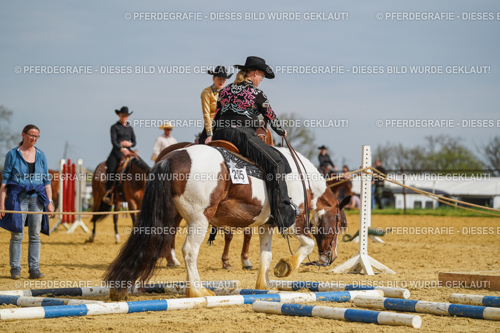 DSC02102 | Pferdegrafie