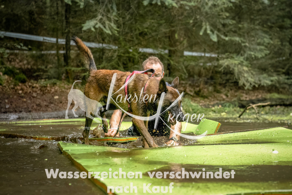 1455_ZZ94296-Bearbeitet | kk-dogfotos
