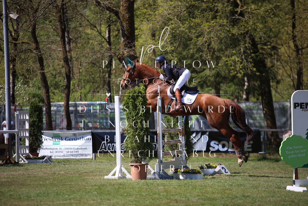 IMGT1029 | pl-fotografie