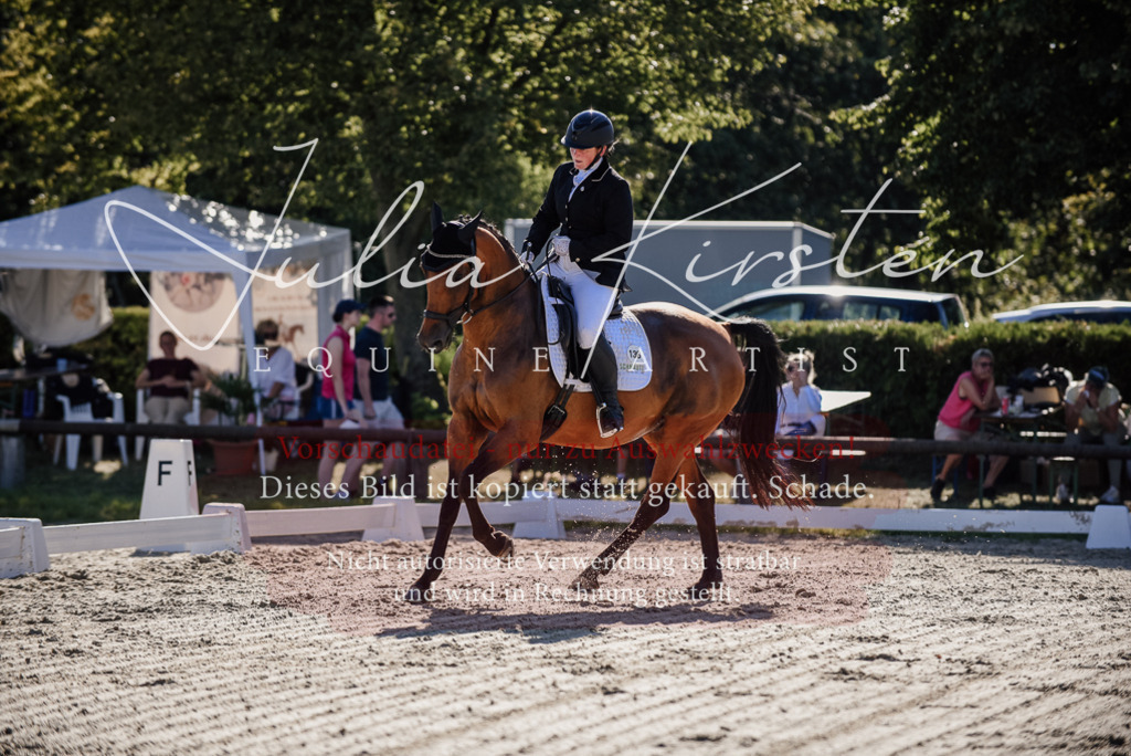 DSC_0372 | Pferde- und Turnierfotografie in Westsachsen. Pferdeportraits, Auftragszeichnungen und intuitive Kunst.