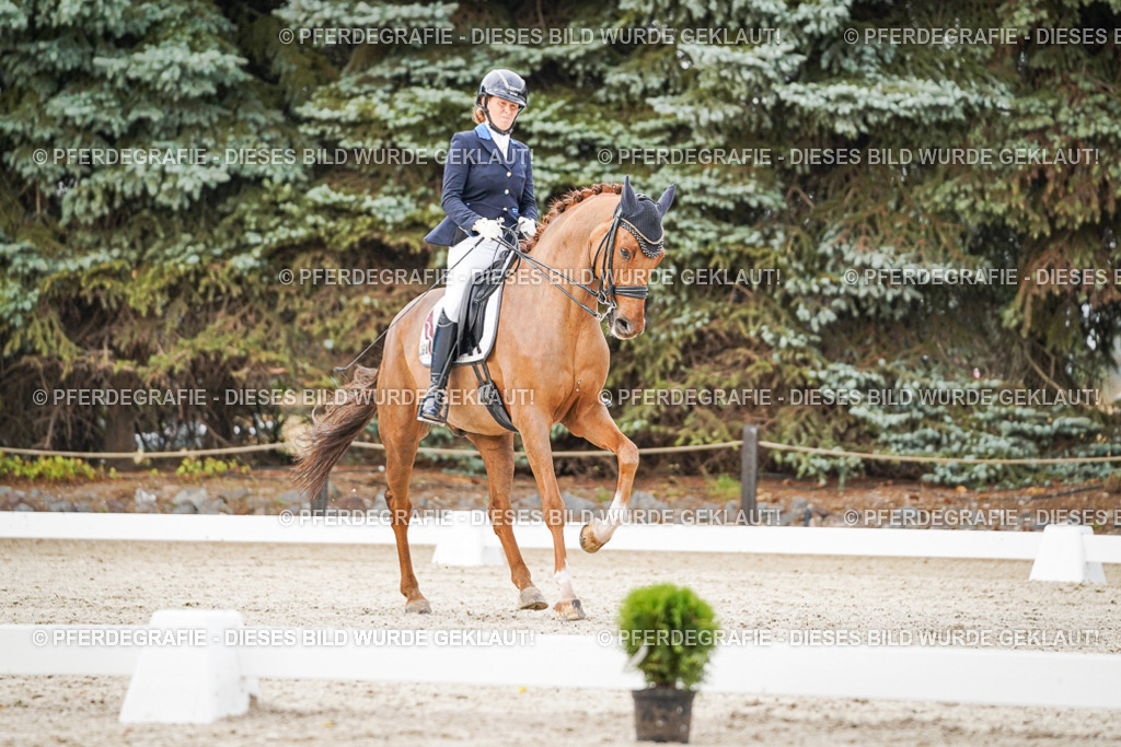 DSC08713 | Pferdegrafie