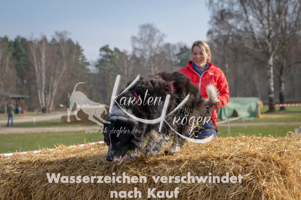 _ZZ90984 | kk-dogfotos
