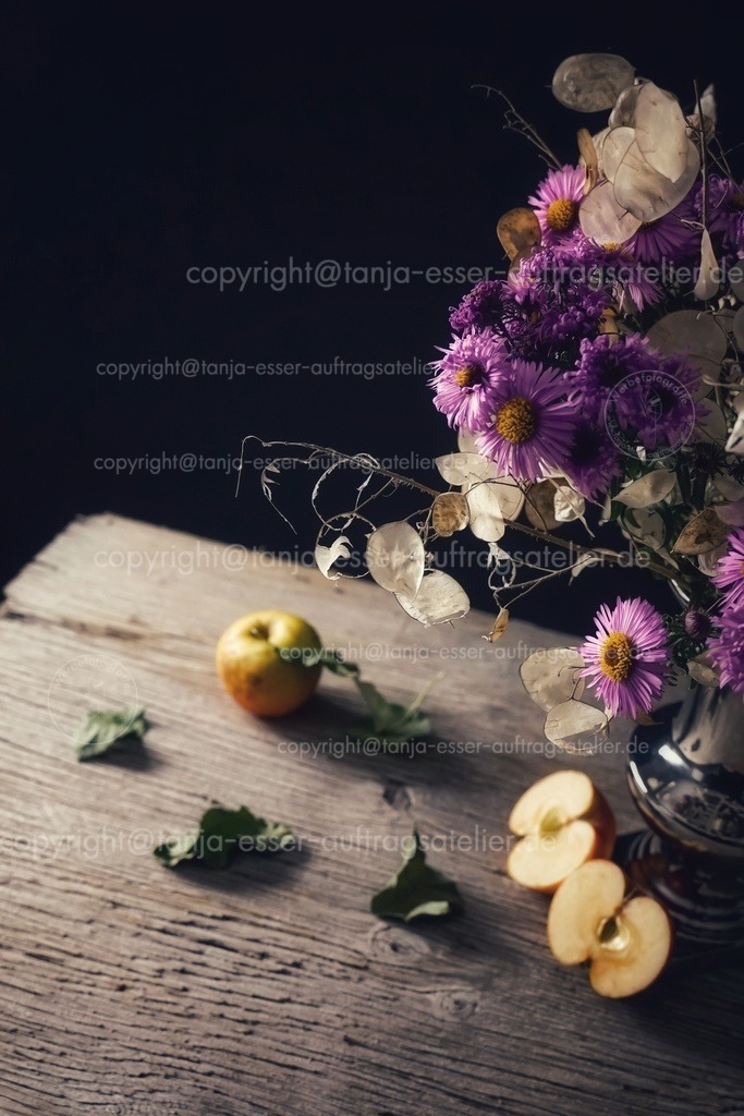 Autumn atmosphere with aster flowers and apples D |  Astern und Silberblätter stehen auf altem Holz Untergrund. Äpfel sind sehr reif. Blätter vom Apfelbaum sind vertrocknet. Herbst wird stimmungsvoll symbolisiert.
                              