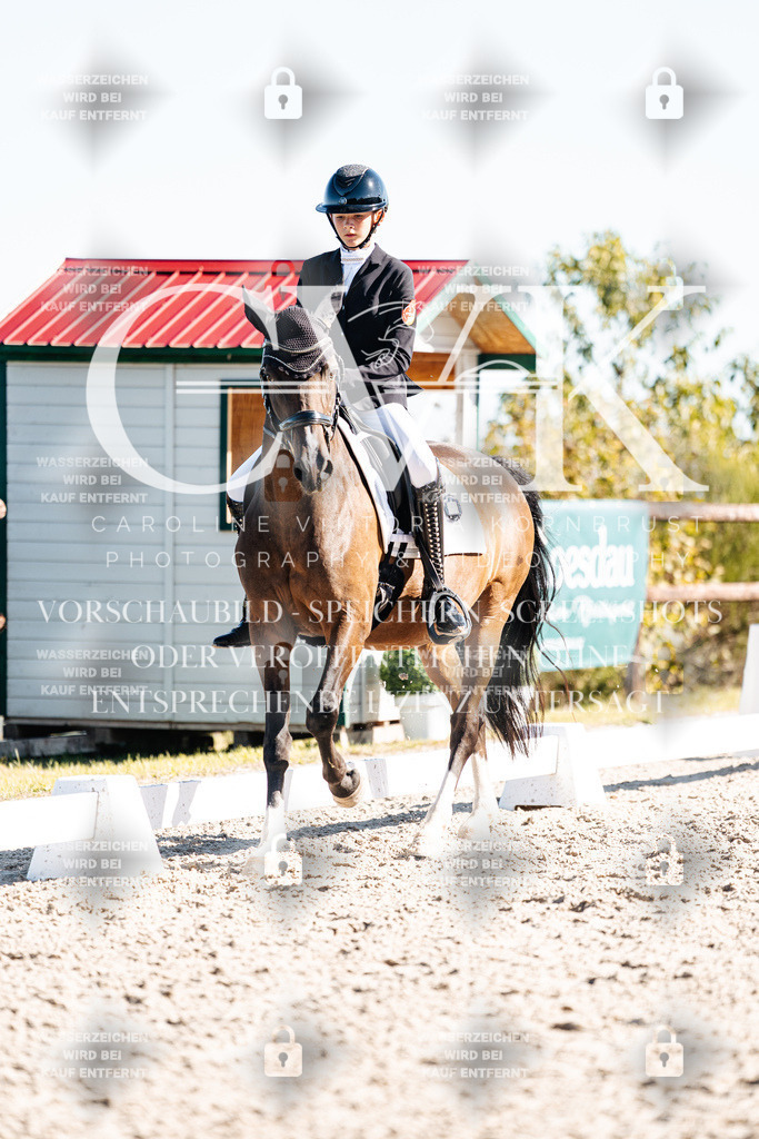 CK908573 | Turnierfotografie Pferdefotografie Trier Rheinland-Pfalz Pferdesport Reitsport Tierfotografie Sportfotografie Pferdevideo Pferdevideografie Equestrianvideography equestrianphotography  - Realisiert mit Pictrs.com