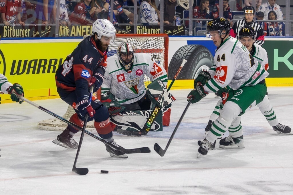 Adler Mannheim vs. GKS Tychy, Mannheim, Germany | (Mannheim, Germany, 26/10/07) CHL (Champions Hockey League) 2026/27, Match day five:Adler Mannheim (Germany) vs. GKS Tychy (Poland) / Anthony Greco (44, Mannheim) on the puck - Realisiert mit Pictrs.com