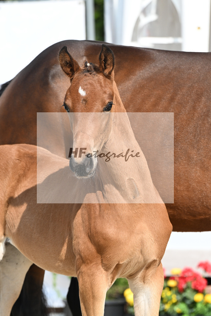 Feliciano x Danone I_SF_Huber_12250085 | hf-fotografie - Realisiert mit Pictrs.com