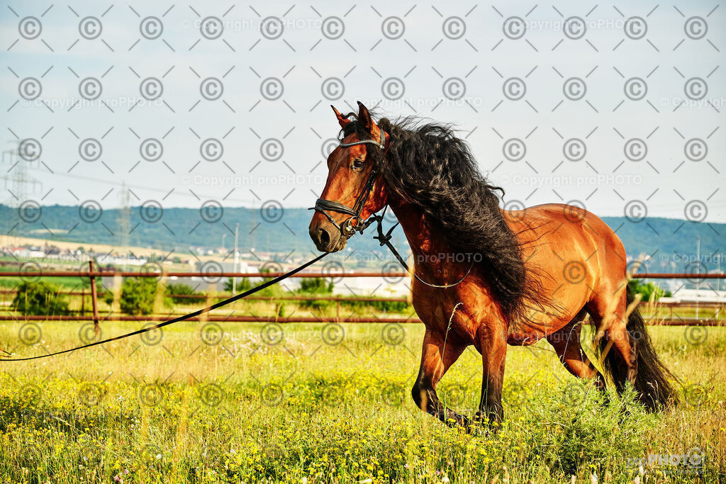 294_202406_Niki-Herodes_NZ9_0242 | proPHOTO - Realisiert mit Pictrs.com