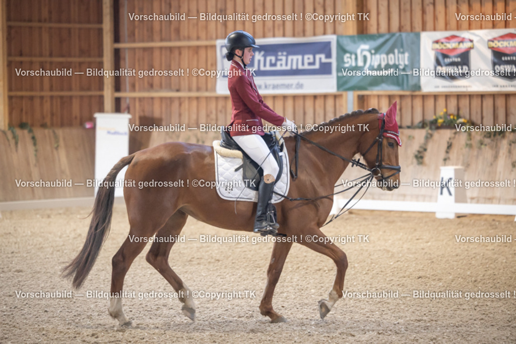 _D5A2090 | Emotionale Pferde- & People-Fotografie rund um Heidelberg, Leimen & Umgebung. Natürliche Fotos von Pferd, Mensch & Familie. Jetzt Termin sichern!