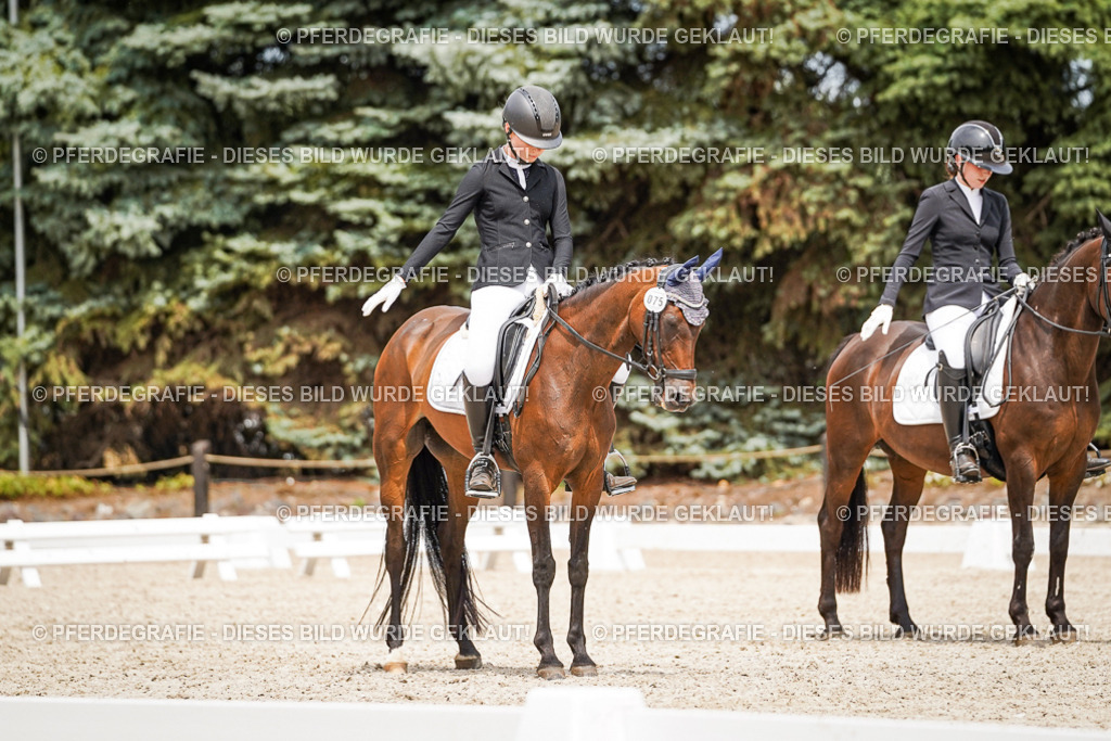 DSC04168 | Pferdegrafie