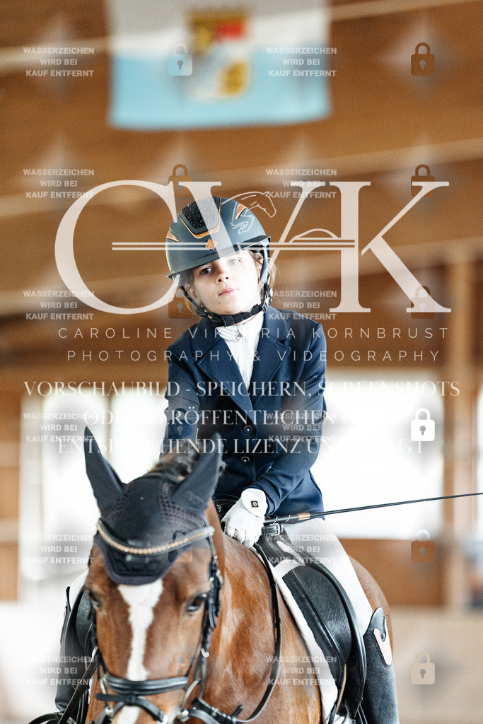 CK900774 | Turnierfotografie Pferdefotografie Trier Rheinland-Pfalz Pferdesport Reitsport Tierfotografie Sportfotografie Pferdevideo Pferdevideografie Equestrianvideography equestrianphotography  - Realisiert mit Pictrs.com